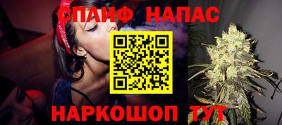 шишки Моздок
