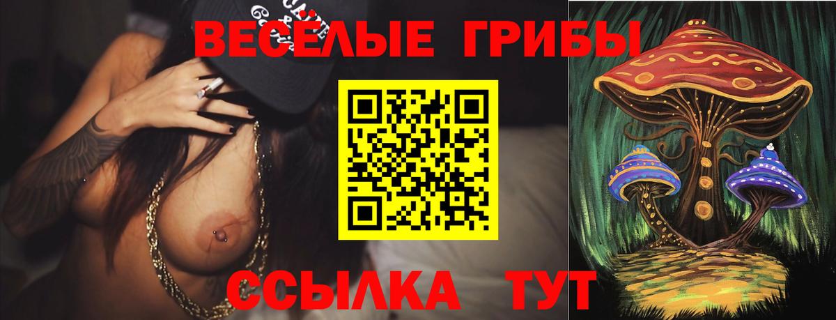 Псилоцибиновые грибы Magic Shrooms  Псилоцибиновые грибы Psilocybe  Вход с VPN  Чистополь 