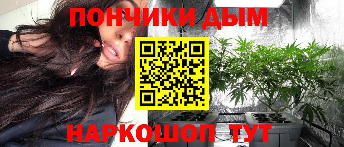 Бошки Шишки Amnesia Чистополь